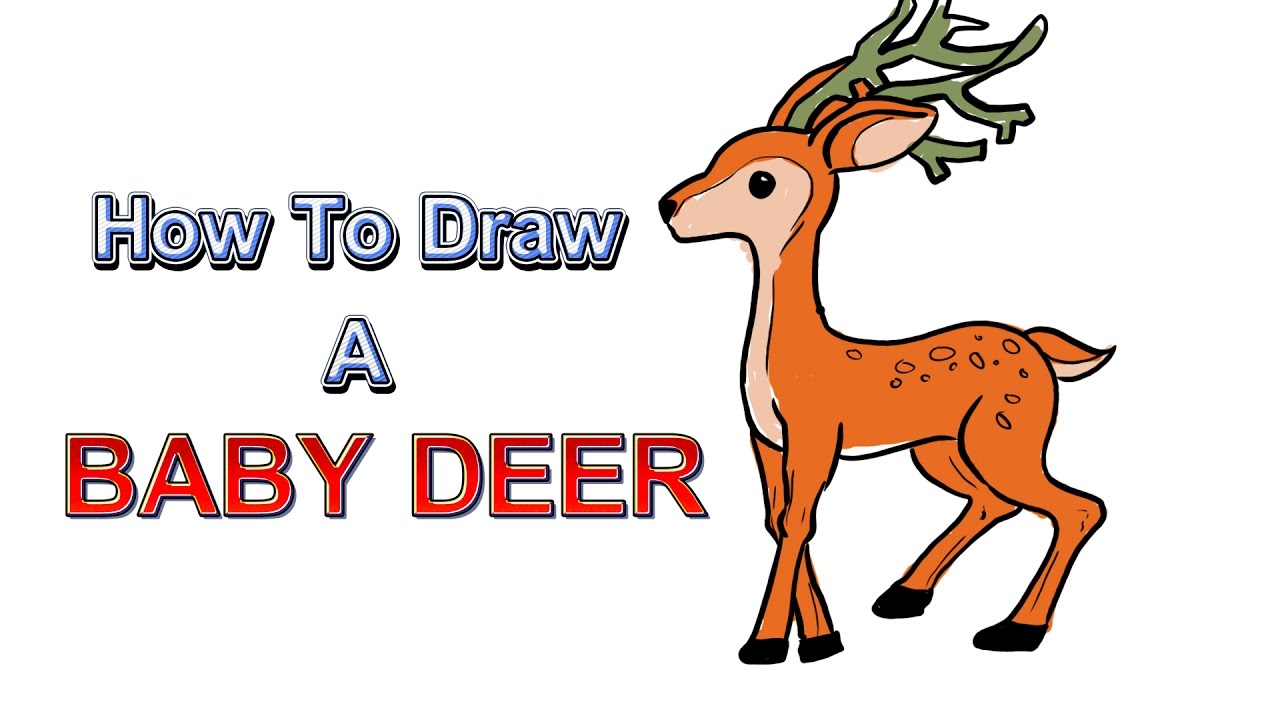1280x720 How To Draw A Baby Deer And Coloring - Baby Deer Drawing