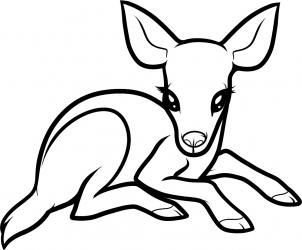 302x250 how to draw a baby deer, baby deer step crafts drawing - Baby Deer Drawing