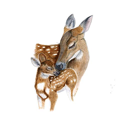 500x500 Hand Painted Mom And Baby Deer Watercolor Nursery Wall - Baby Deer Drawing