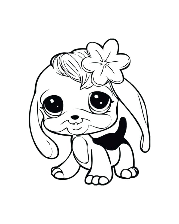 720x900 baby dogs coloring pages dog printable cute hills chihuahua - Baby Dog Drawing