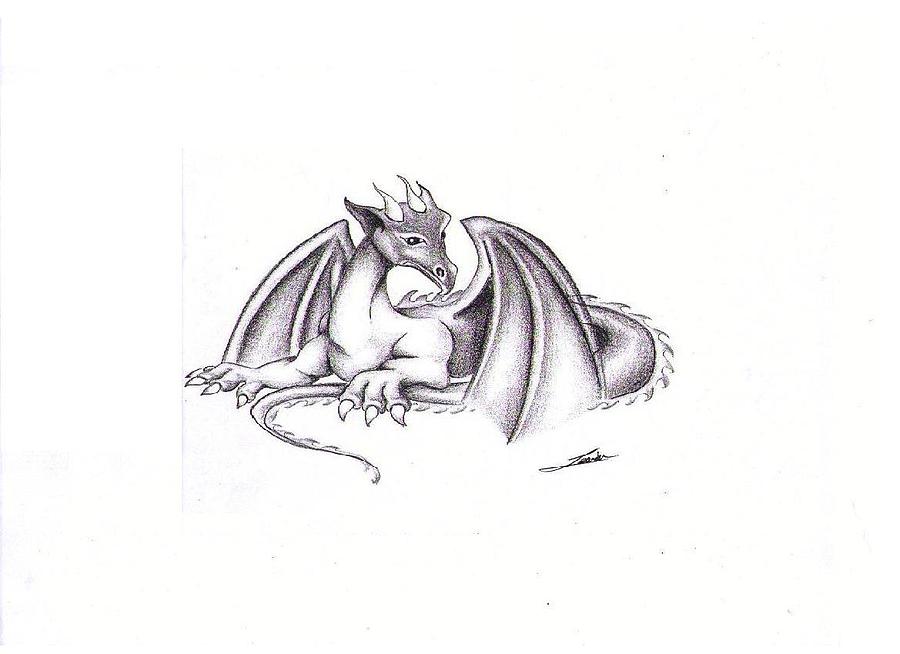 900x654 Baby Dragon Drawing - Baby Dragon Drawing