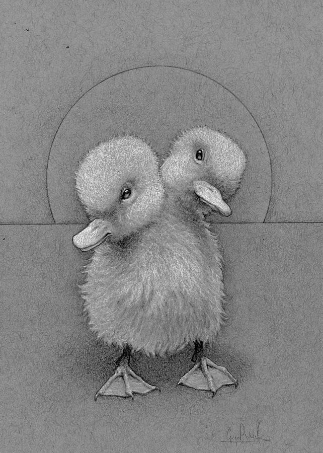 642x900 Baby Ducks Drawing - Baby Duck Drawing