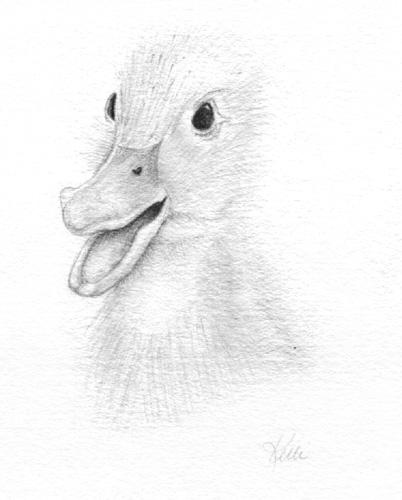 Baby Duck Drawing at PaintingValley.com | Explore collection of Baby ...