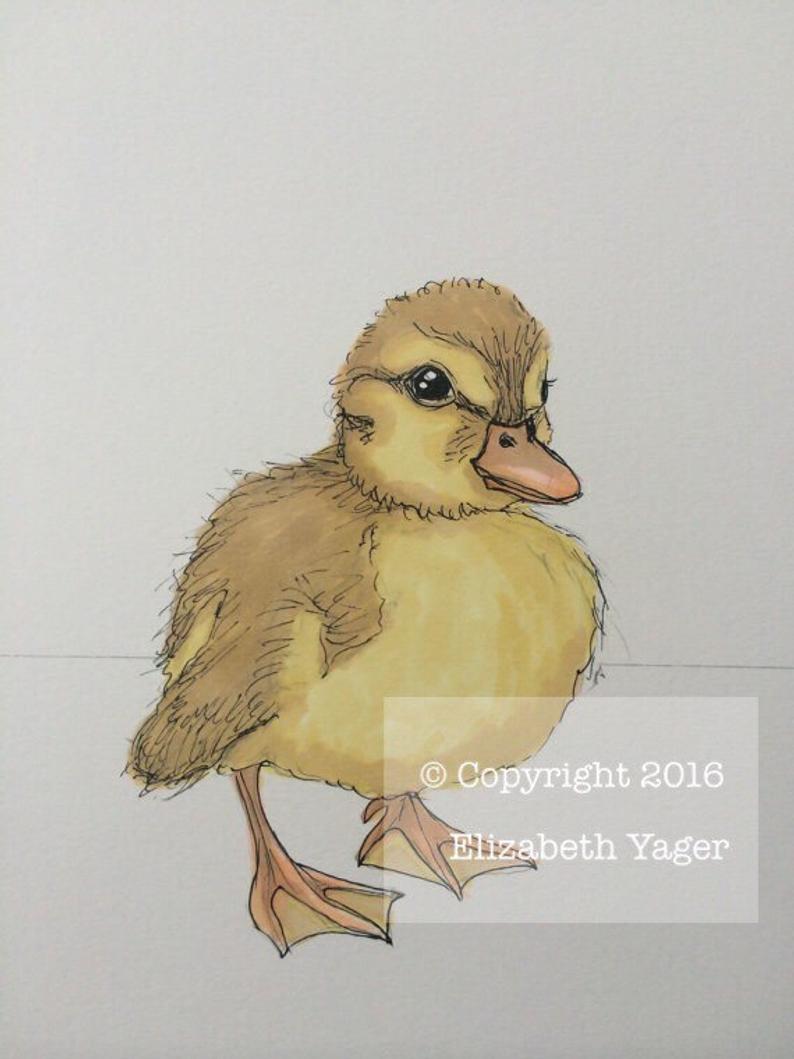 794x1059 baby animal print nursery decor baby duck drawing etsy - Baby Duck Drawing
