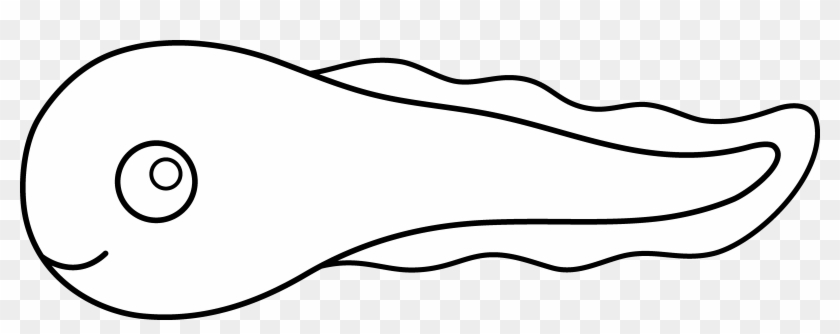 840x334 tadpole clipart baby - Baby Easy Drawing