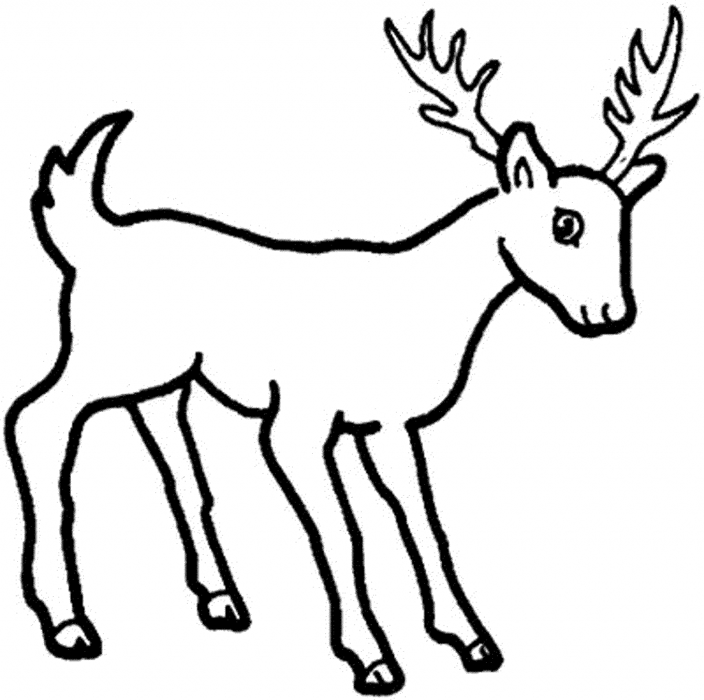 1024x1018 deer easy drawing how to draw an easy deer cartoon deer drawings - Baby Easy Drawing