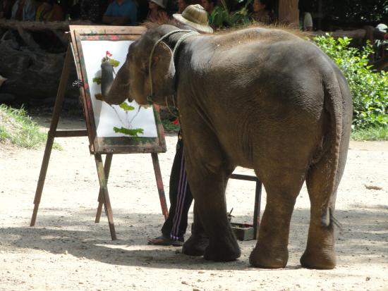 550x413 Baby Elephant Drawing - Baby Elephant Drawing