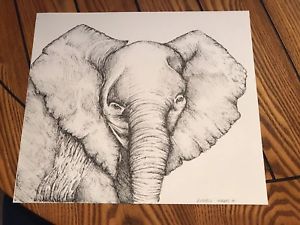 300x225 Original Pen Ink Baby Elephant Drawing Ebay - Baby Elephant Drawing
