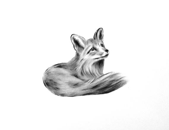 570x439 Fox Art Original Charcoal Drawing Animal Sketch Nursery Art Etsy - Baby Fox Drawing