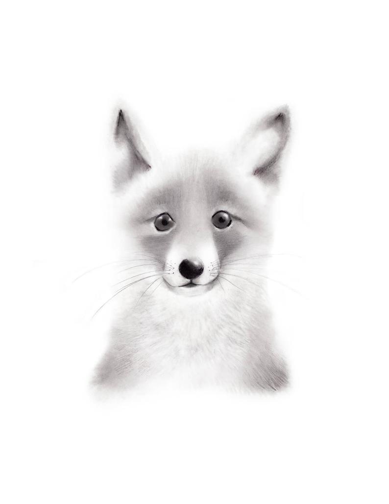 794x1028 Fox Nursery Art Pencil Drawing Baby Animal Face Woodland Etsy - Baby Fox Drawing