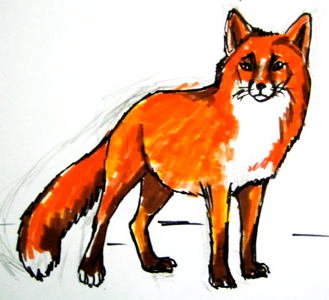 329x300 How To Draw A Fox Baby - Baby Fox Drawing