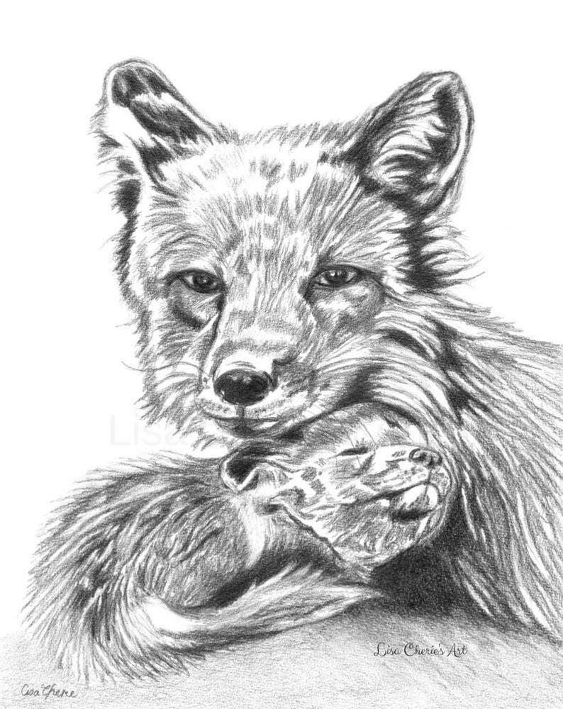 794x1000 Mother And Baby Fox Drawing Original Art Nursery Art Etsy - Baby Fox Drawing