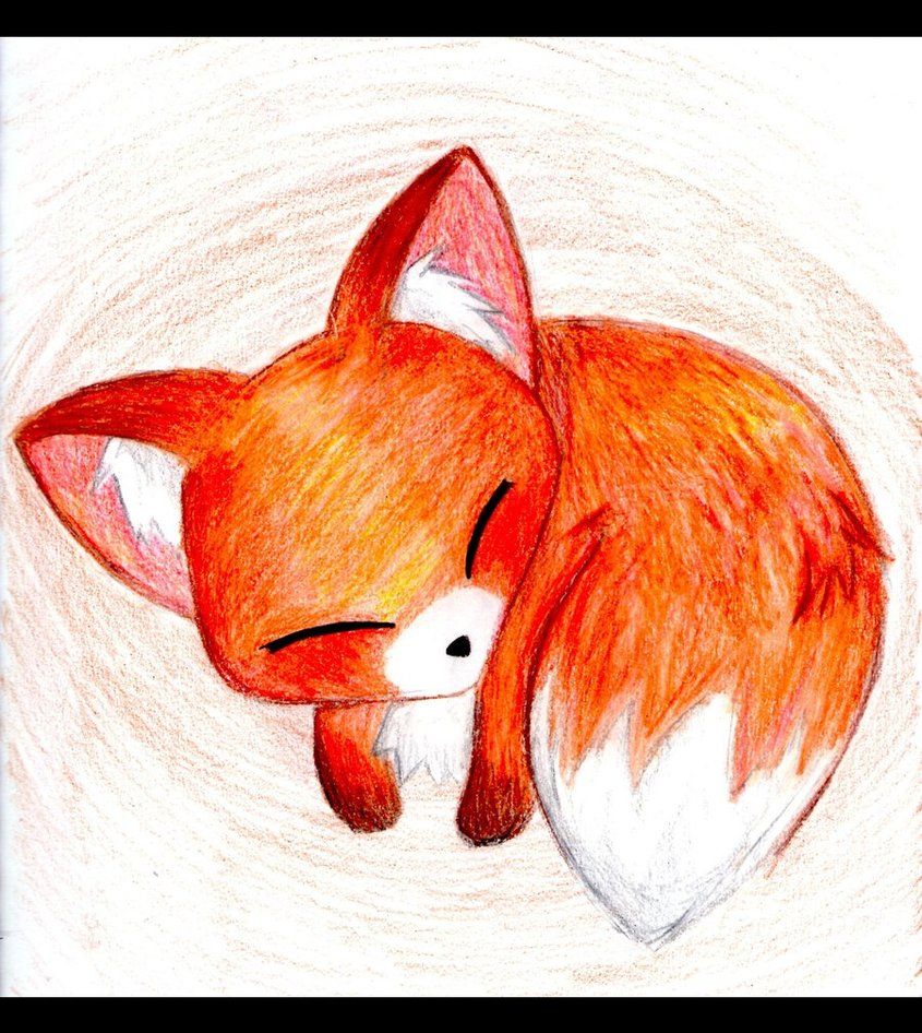 845x946 Tattoos In Cute Fox Drawing - Baby Fox Drawing