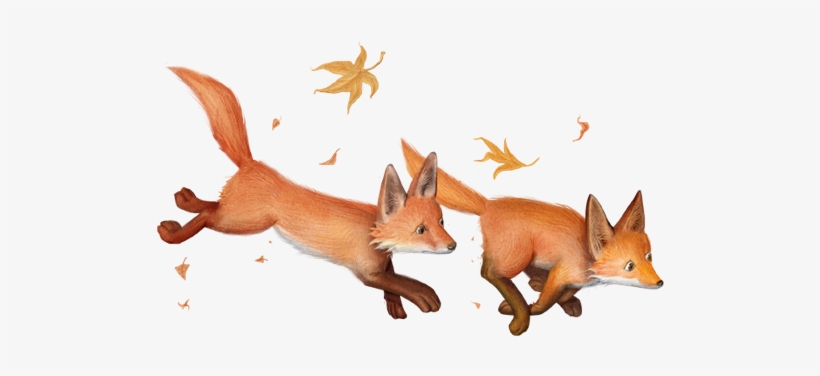 820x376 spry fox is a children book about little curious - Baby Fox Drawing