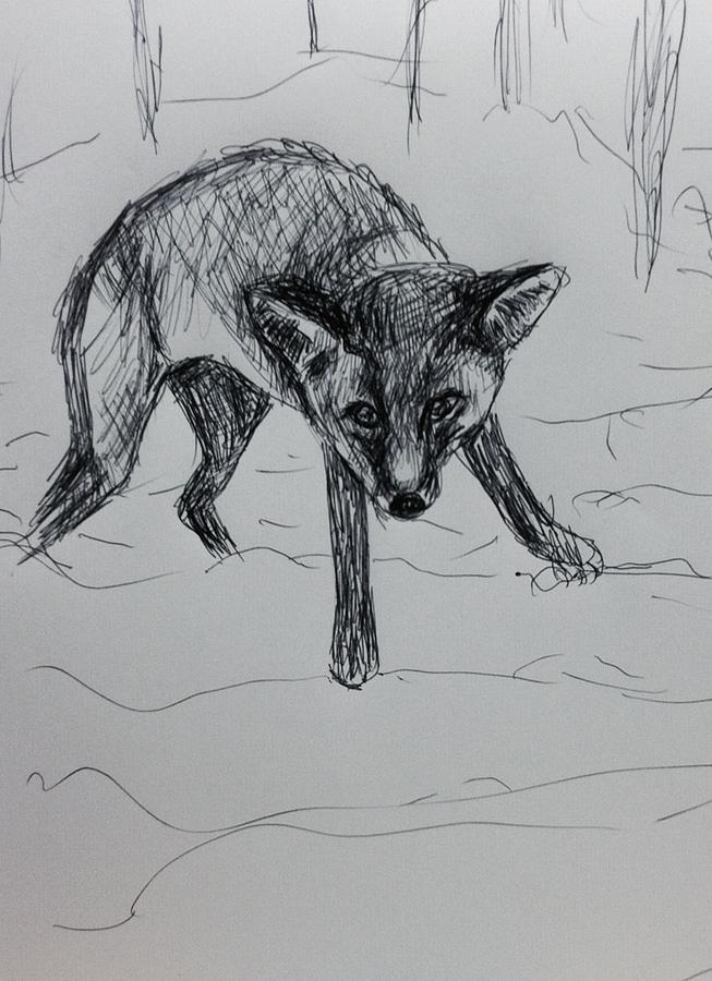 653x900 Baby Fox Drawing - Baby Fox Drawing