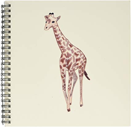Baby Giraffe Drawing