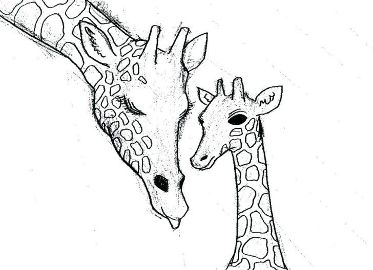 728x528 cute cartoon giraffe coloring pages baby giraffes drawing at free - Baby Giraffe Drawing