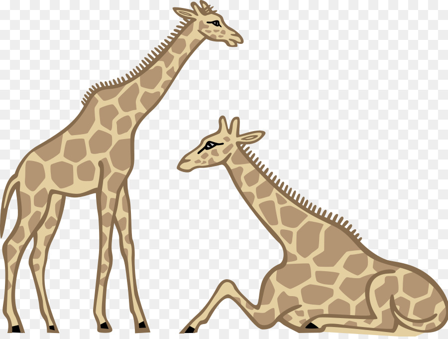 900x680 Giraffe, Drawing, Wildlife, Transparent Png Image Clipart Free - Baby Giraffe Drawing
