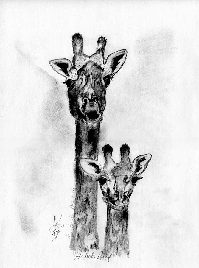 668x900 Giraffe Mom And Baby Drawing - Baby Giraffe Drawing