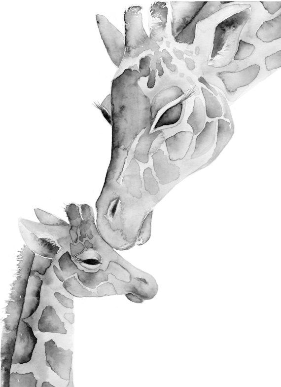 570x784 Giraffe Drawing Free Download - Baby Giraffe Drawing