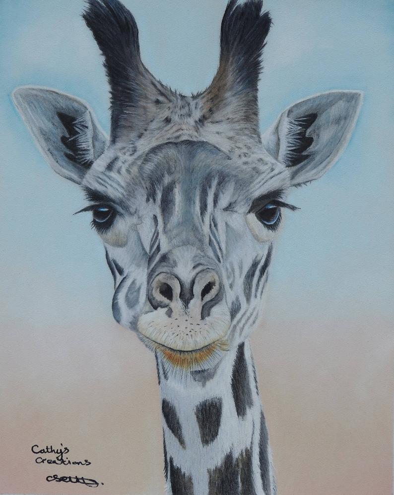 794x999 giraffe fine art print coloured pencil baby giraffe drawing etsy - Baby Giraffe Drawing