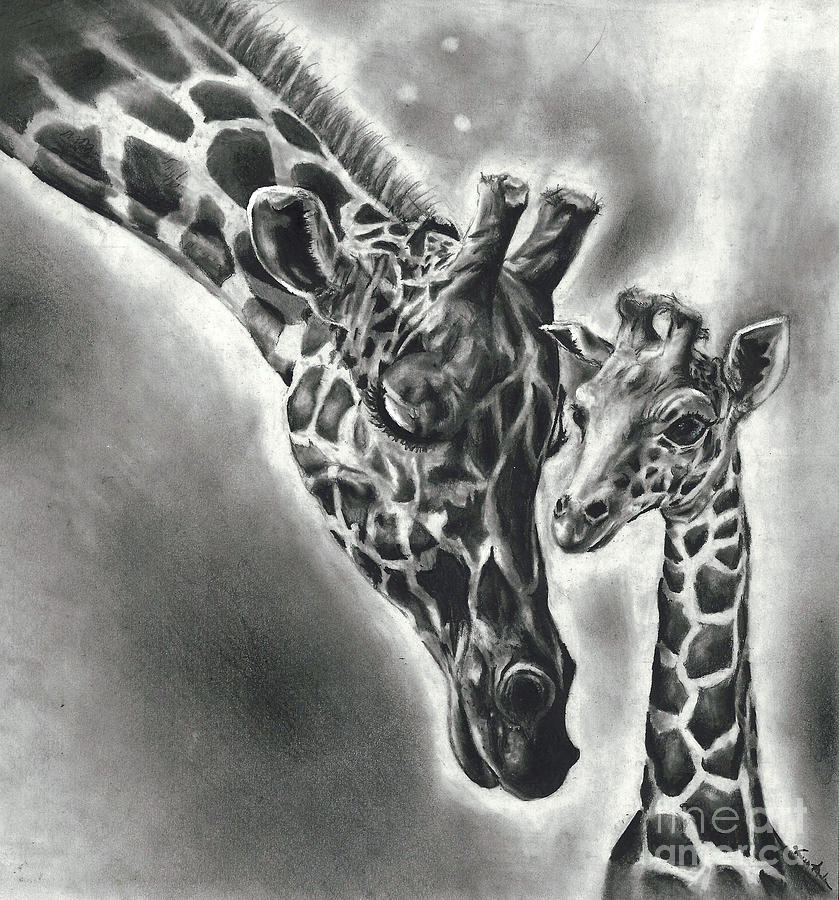839x900 giraffes drawing - Baby Giraffe Drawing