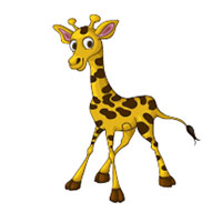 200x191 how to draw giraffes drawing tutorials drawing how to draw - Baby Giraffe Drawing