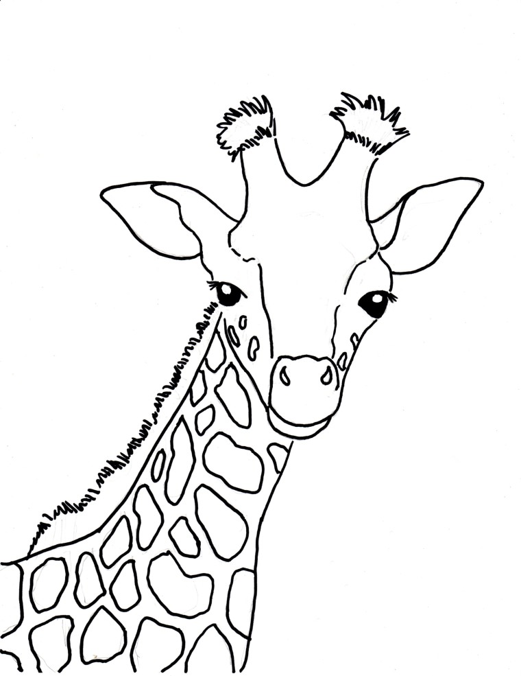 760x985 Baby Giraffe Coloring Page - Baby Giraffe Drawing