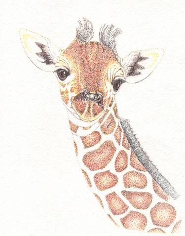 375x478 Baby Giraffe Drawings For Sale Saatchi Art - Baby Giraffe Drawing