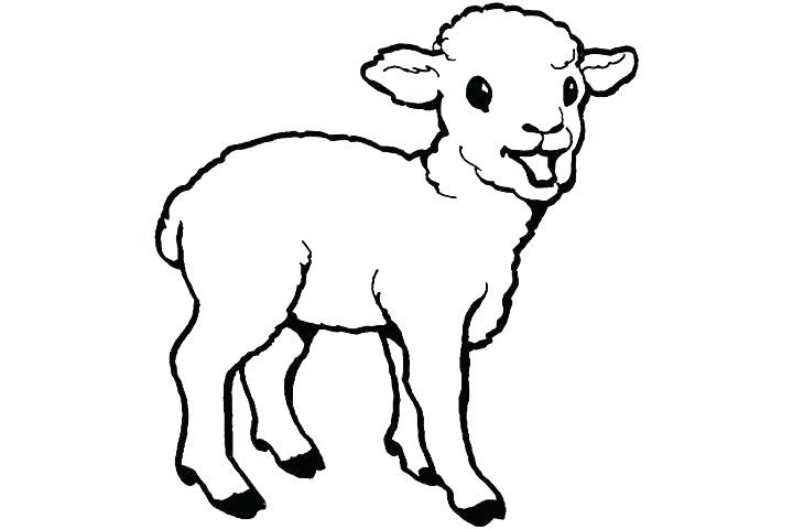720x480 Goat Drawing Tiny For Free Download - Baby Goat Drawing