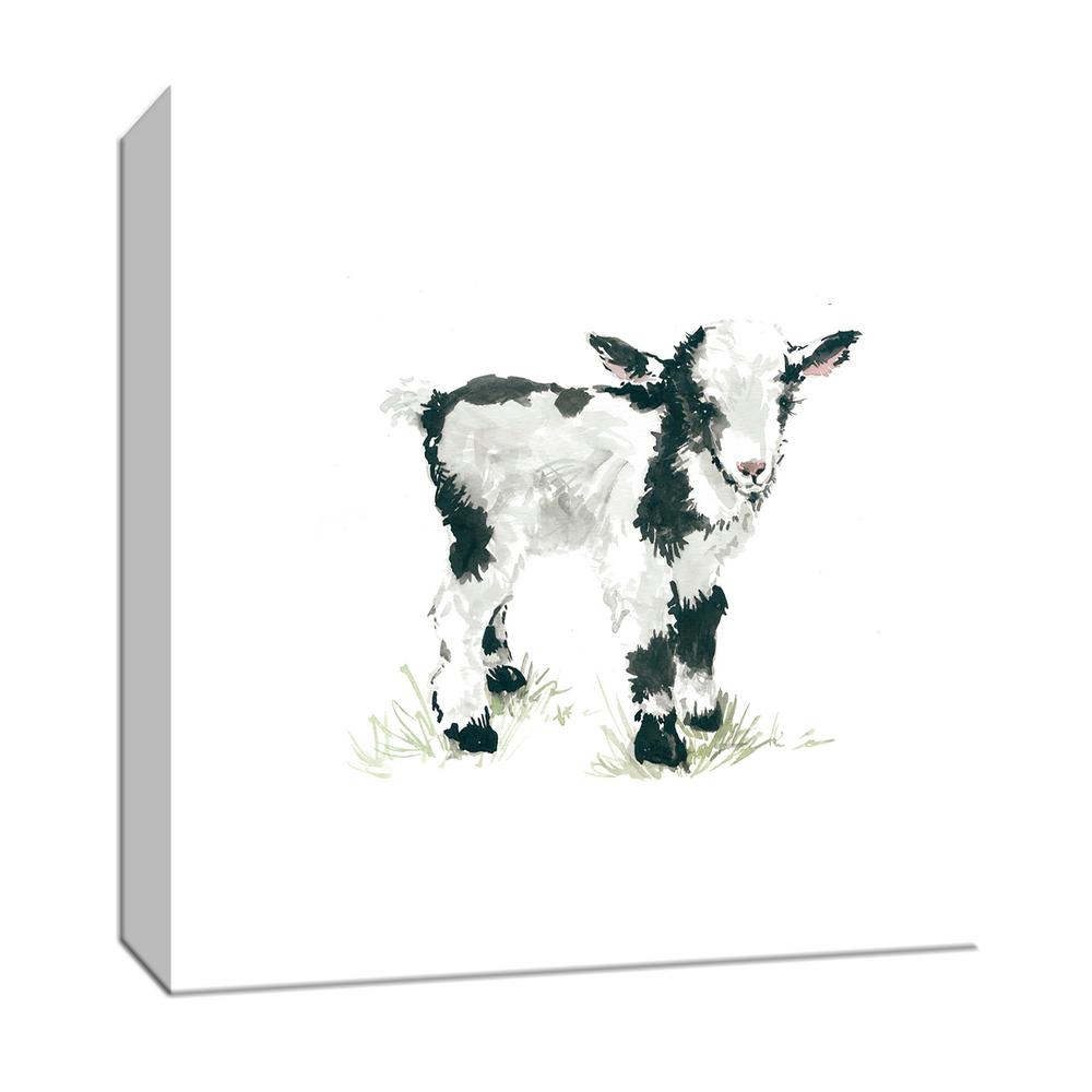 1000x1000 Ptm Images In X In Baby Goat'' Canvas Wall Art - Baby Goat Drawing