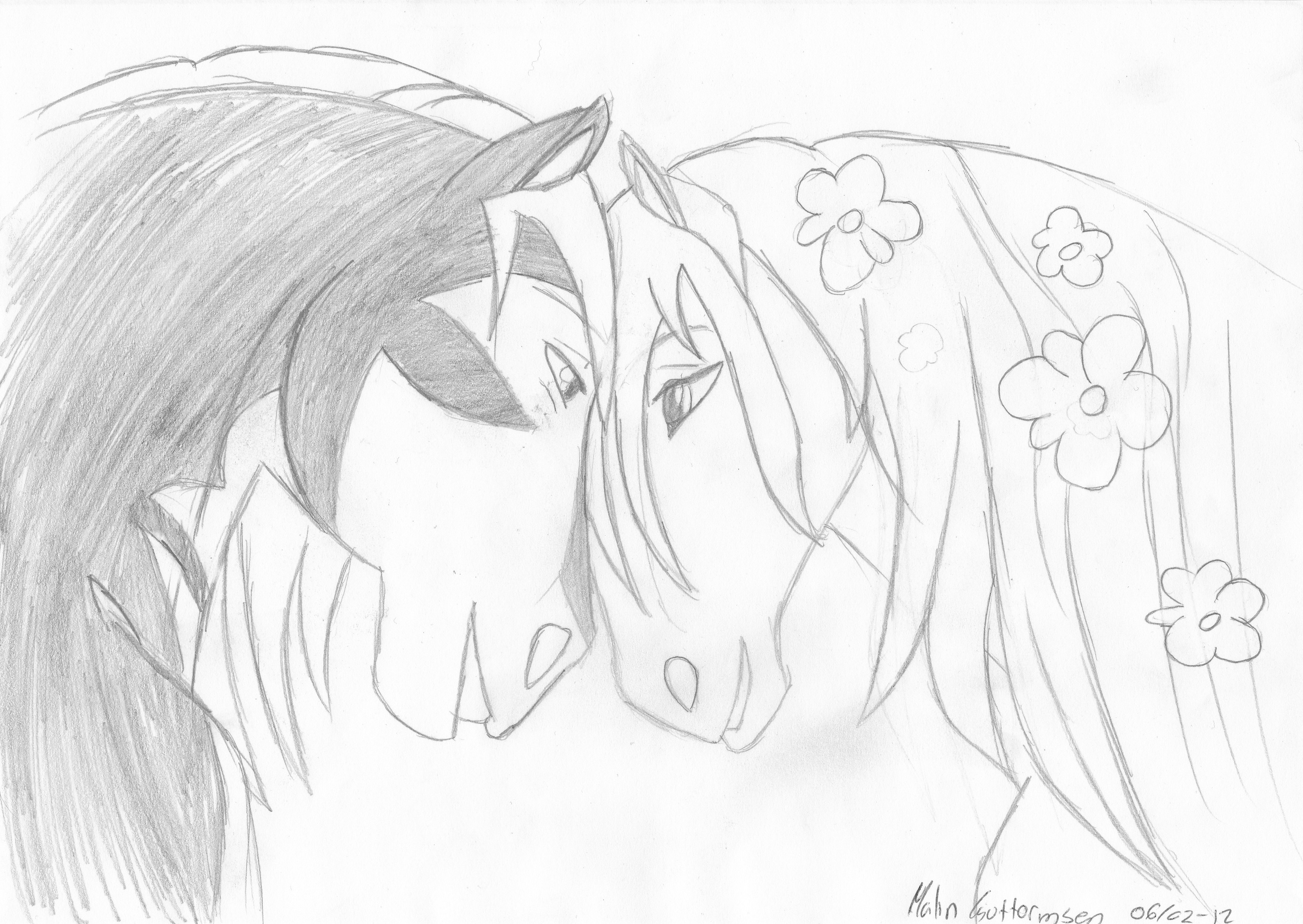 3468x2460 Baby Horse Drawing - Baby Horse Drawing