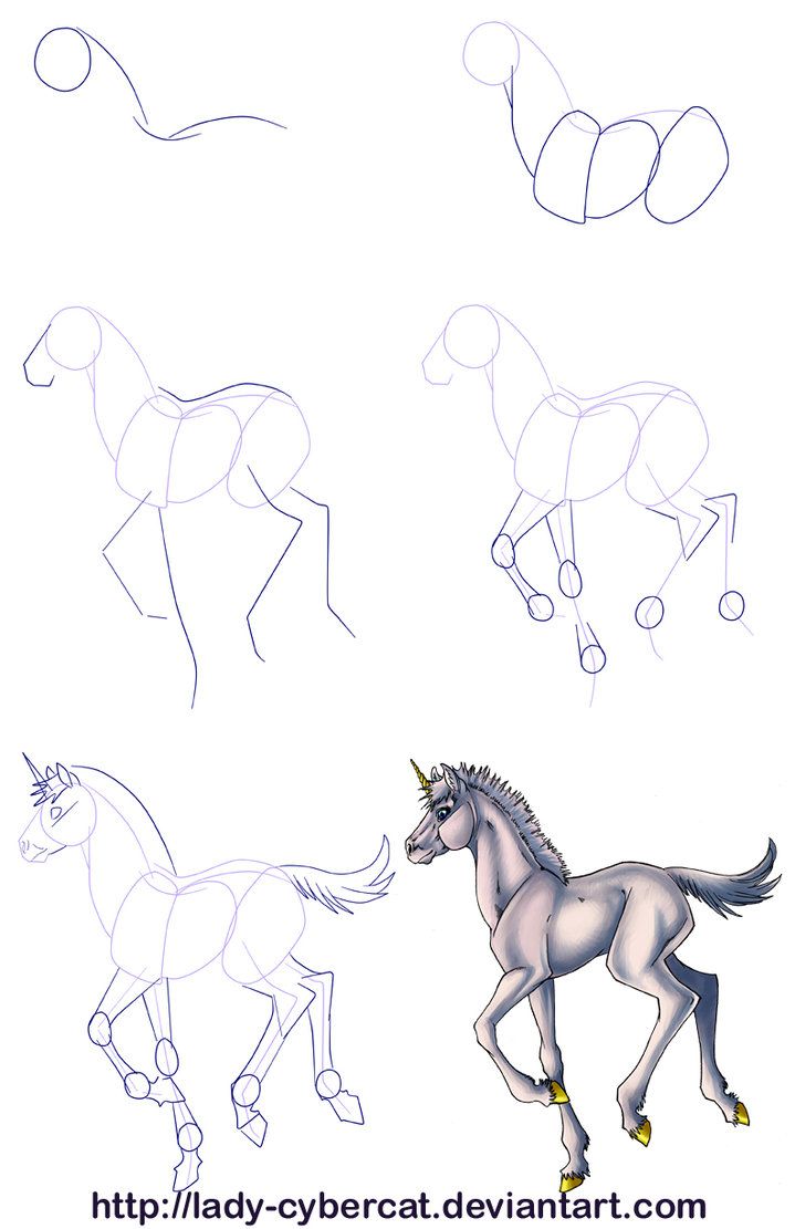 719x1111 How To Draw A Baby Unicorn Tutorial - Baby Horse Drawing