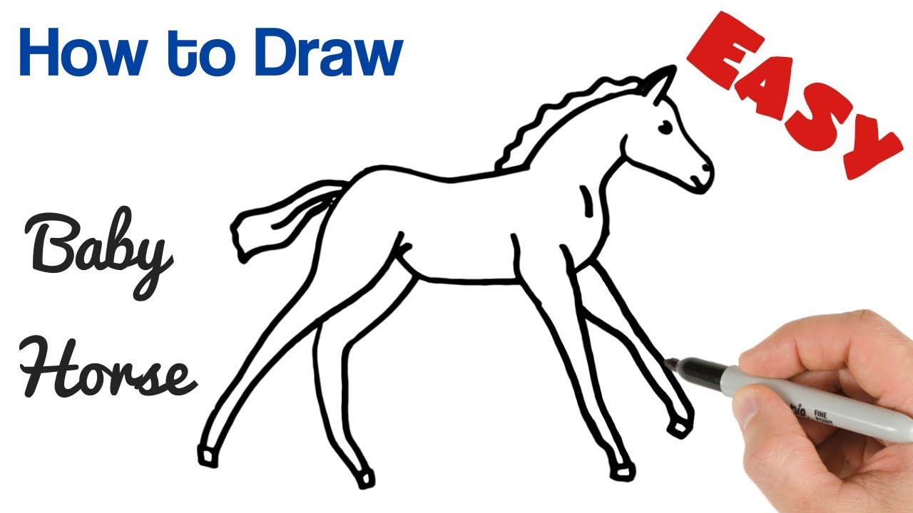 1280x720 how to draw baby horse foal easy baby animals art drawing - Baby Horse Drawing