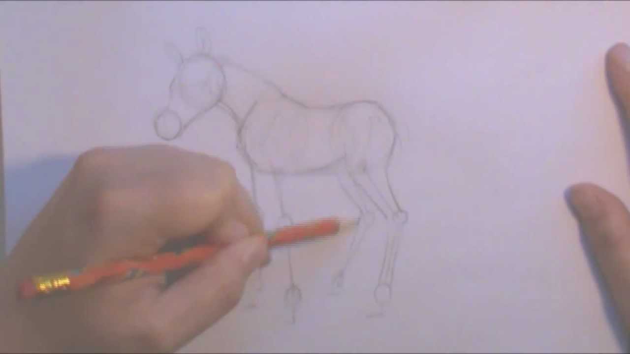 1280x720 How To Draw A Baby Horse - Baby Horse Drawing