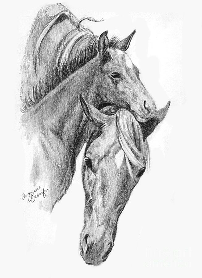 654x900 mama and baby horse canvas print canvas art - Baby Horse Drawing