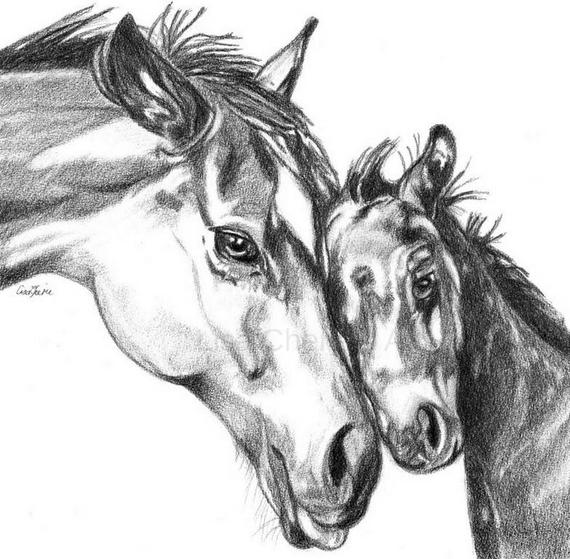 570x559 mother and baby horse drawing mummy and baby original horse etsy - Baby Horse Drawing