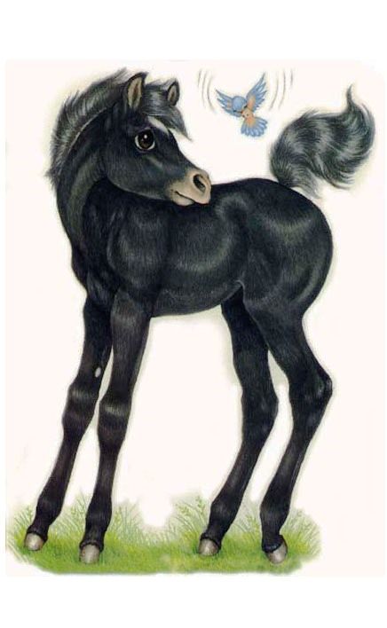 436x708 Robin James Baby Horse, Foal Painting Little Black Stallion - Baby Horse Drawing