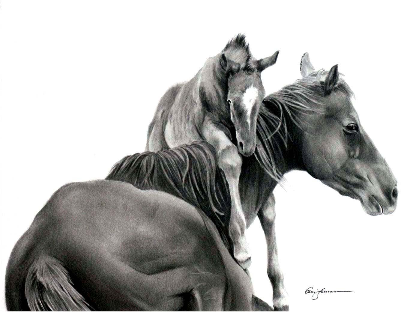 1367x1041 Some Call Him Defining The West - Baby Horse Drawing