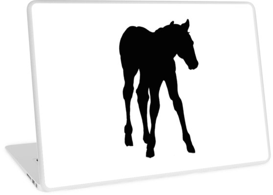 558x400 Baby Horse, Silhouette, Horse, Foal, Drawing Laptop Skins - Baby Horse Drawing