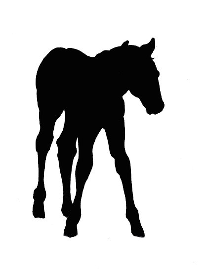 415x550 Baby Horse, Silhouette, Horse, Foal, Drawing Posters - Baby Horse Drawing