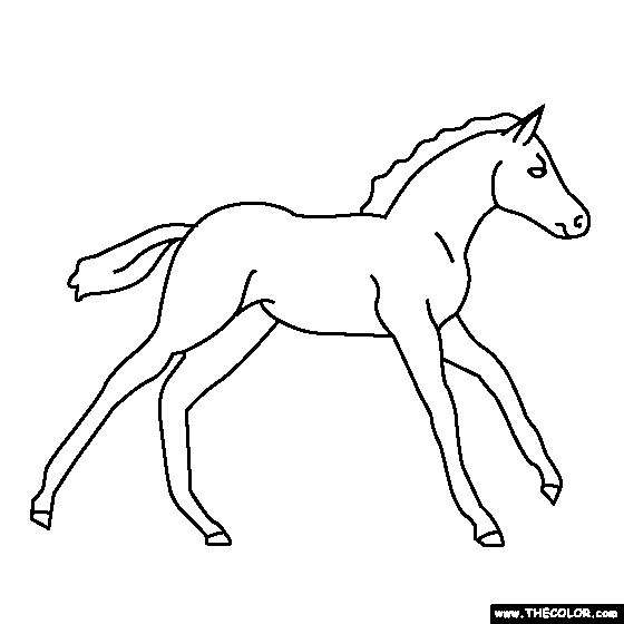 560x560 Baby Horse Clipart Black And White Great Free Clipart - Baby Horse Drawing