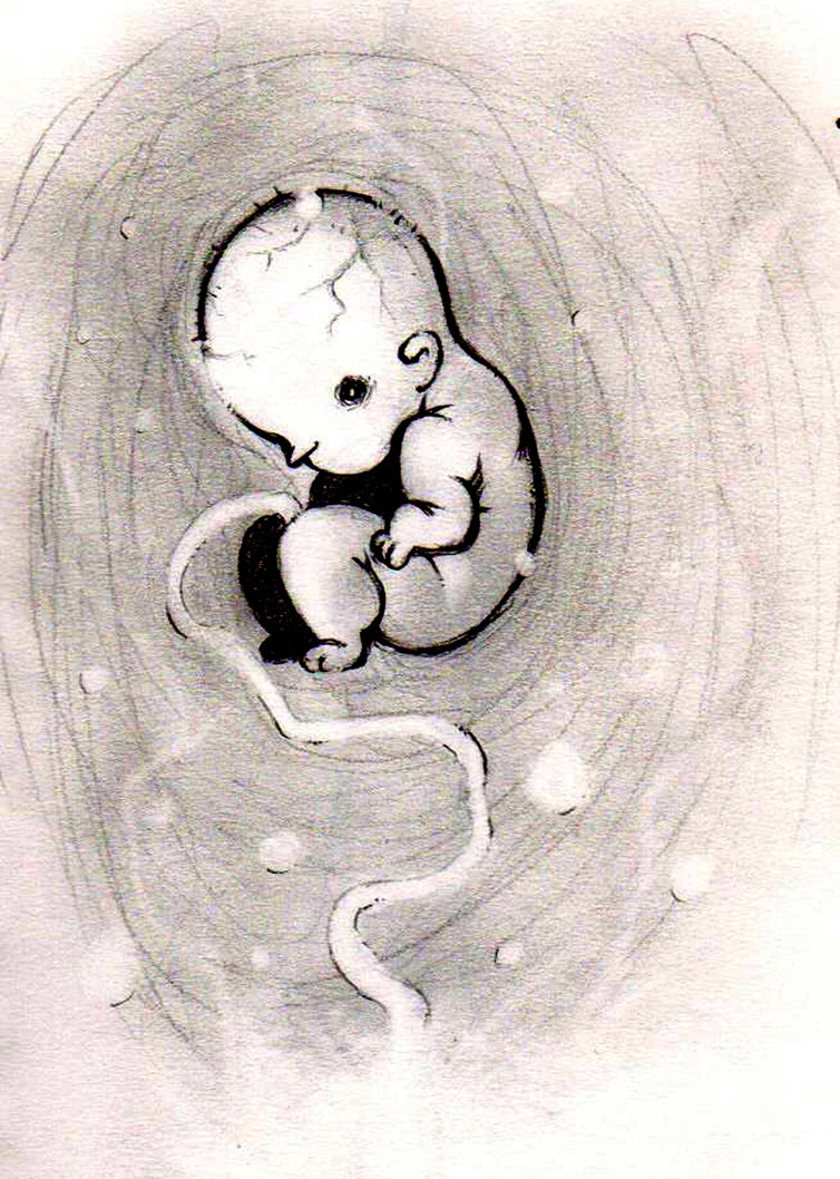 Baby In Womb Drawing at Explore collection of Baby