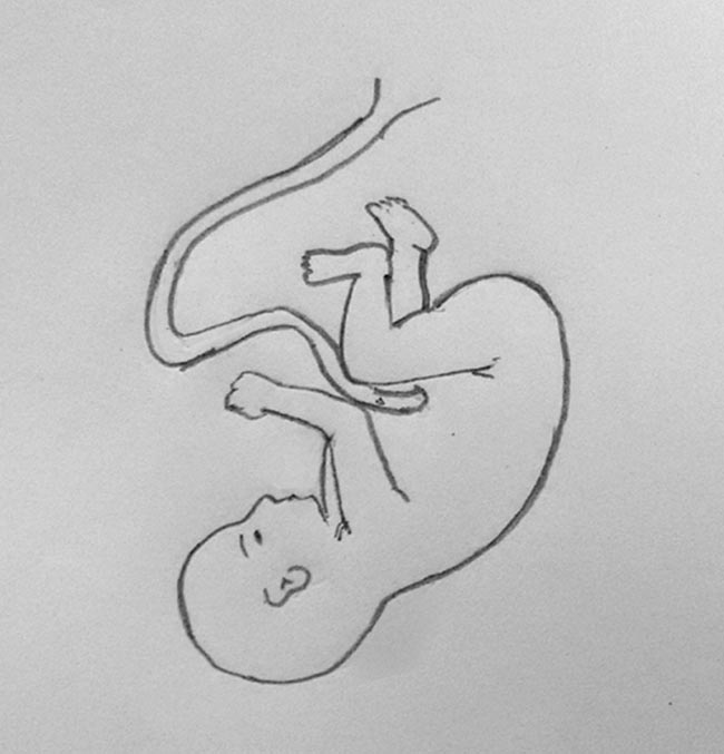 650x677 draw it neat how to draw human baby in womb - Baby In Womb Drawing