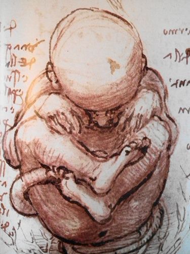 375x500 ldv baby in womb drawing pregnancy baby drawing - Baby In Womb Drawing