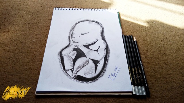 640x360 syed waqas saghir artwork baby in womb charcoal drawing - Baby In Womb Drawing