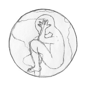 300x300 womb drawings fine art america - Baby In Womb Drawing