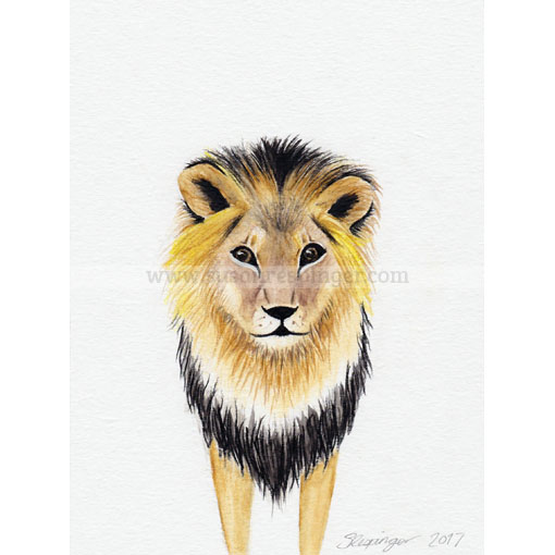 510x510 Baby Lion Print - Baby Lion Drawing