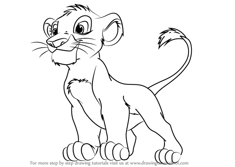 800x567 Learn How To Draw Baby Simba From The Lion King - Baby Lion Drawing
