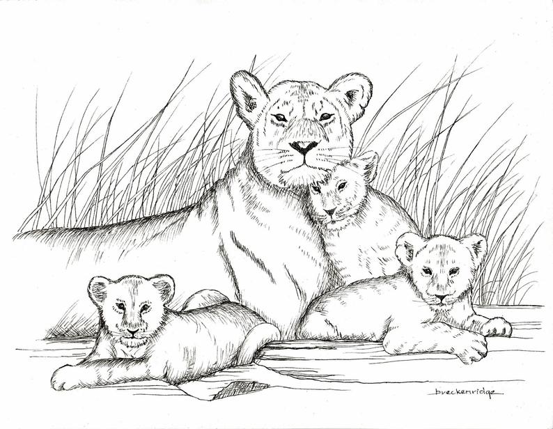 794x616 mother and baby lions drawing print etsy - Baby Lion Drawing